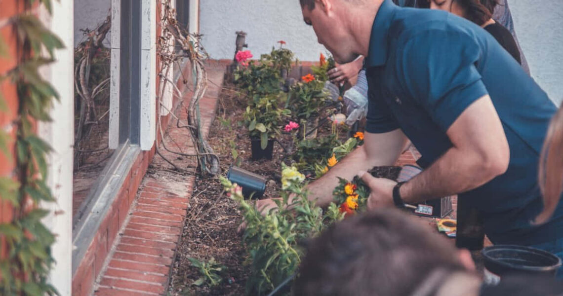 Rossendale community gardens seek business support